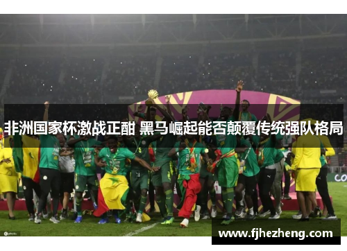 非洲国家杯激战正酣 黑马崛起能否颠覆传统强队格局