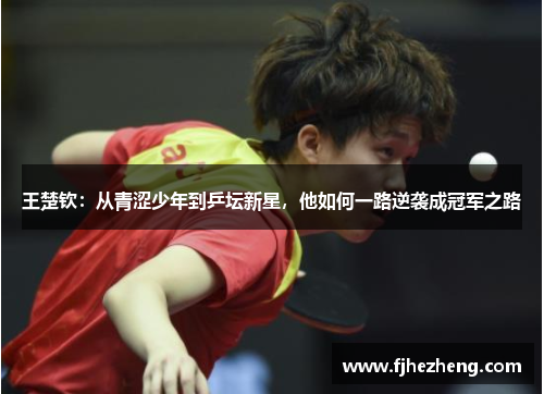 王楚钦：从青涩少年到乒坛新星，他如何一路逆袭成冠军之路