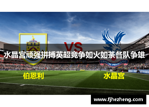 水晶宫顽强拼搏英超竞争如火如荼各队争雄